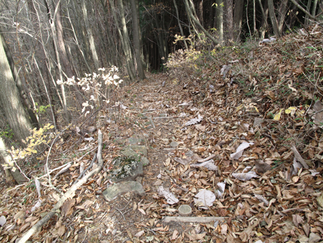 20171116hike (199)